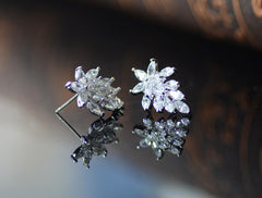 Bông Tai Sát Tai Đá Trắng